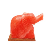 Elephant Shaped Salt Lamp