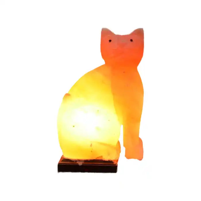 Cat Shaped Salt Lamp